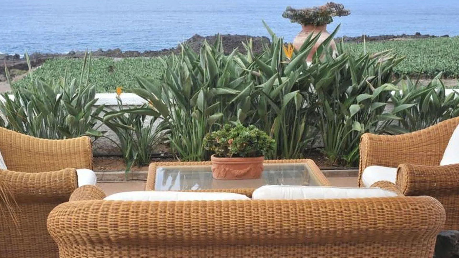 Pensjonat Malpais Trece Garachico  Gospodarstwo wiejskie Garachico (Tenerife)